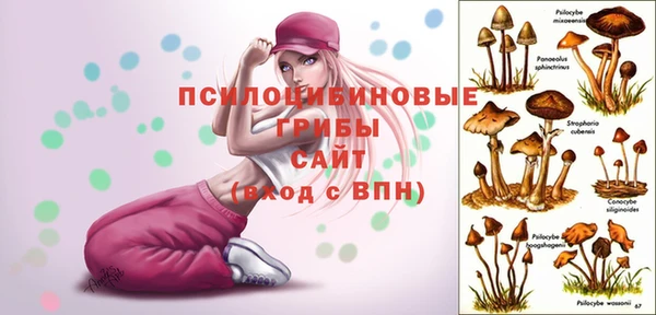 2c-b Алзамай